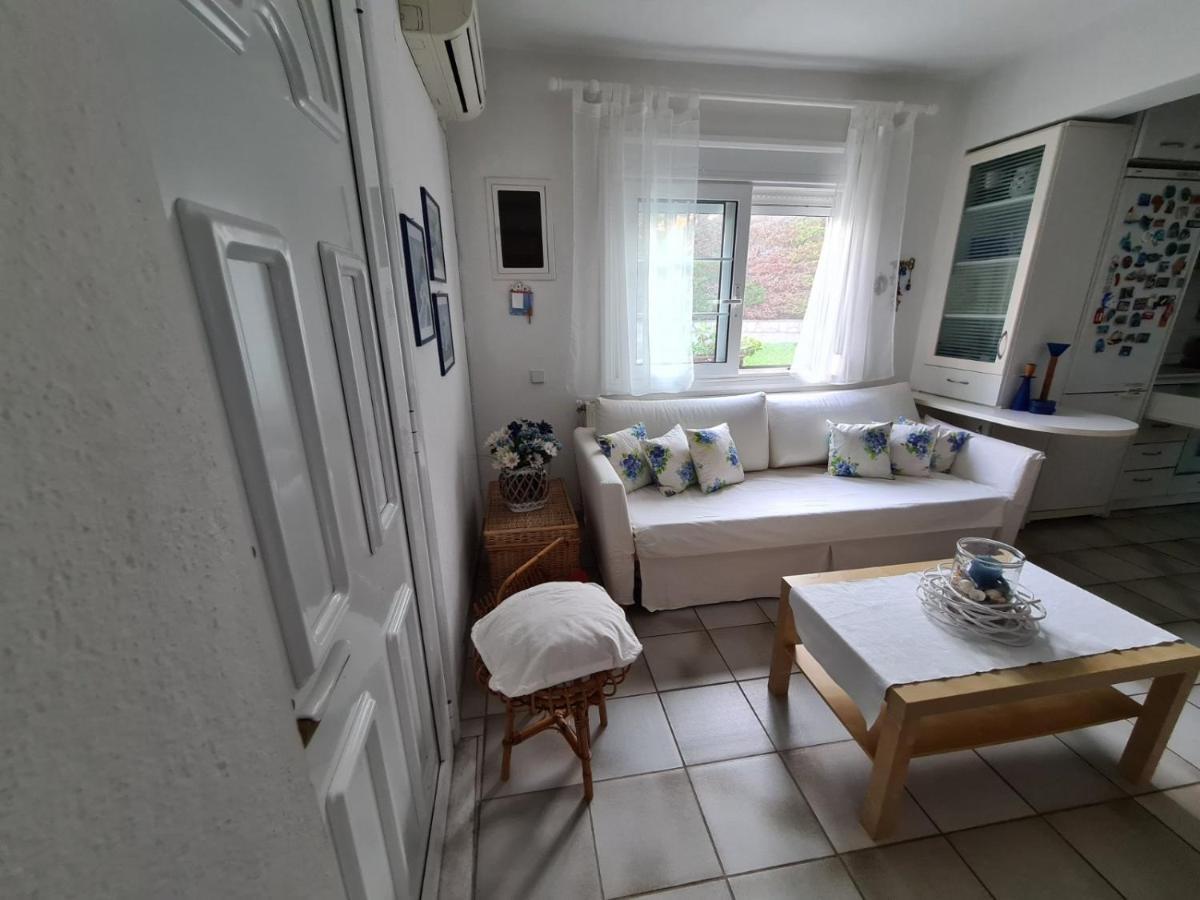 플로지타 Wonderful House With Private Garden 빌라 외부 사진